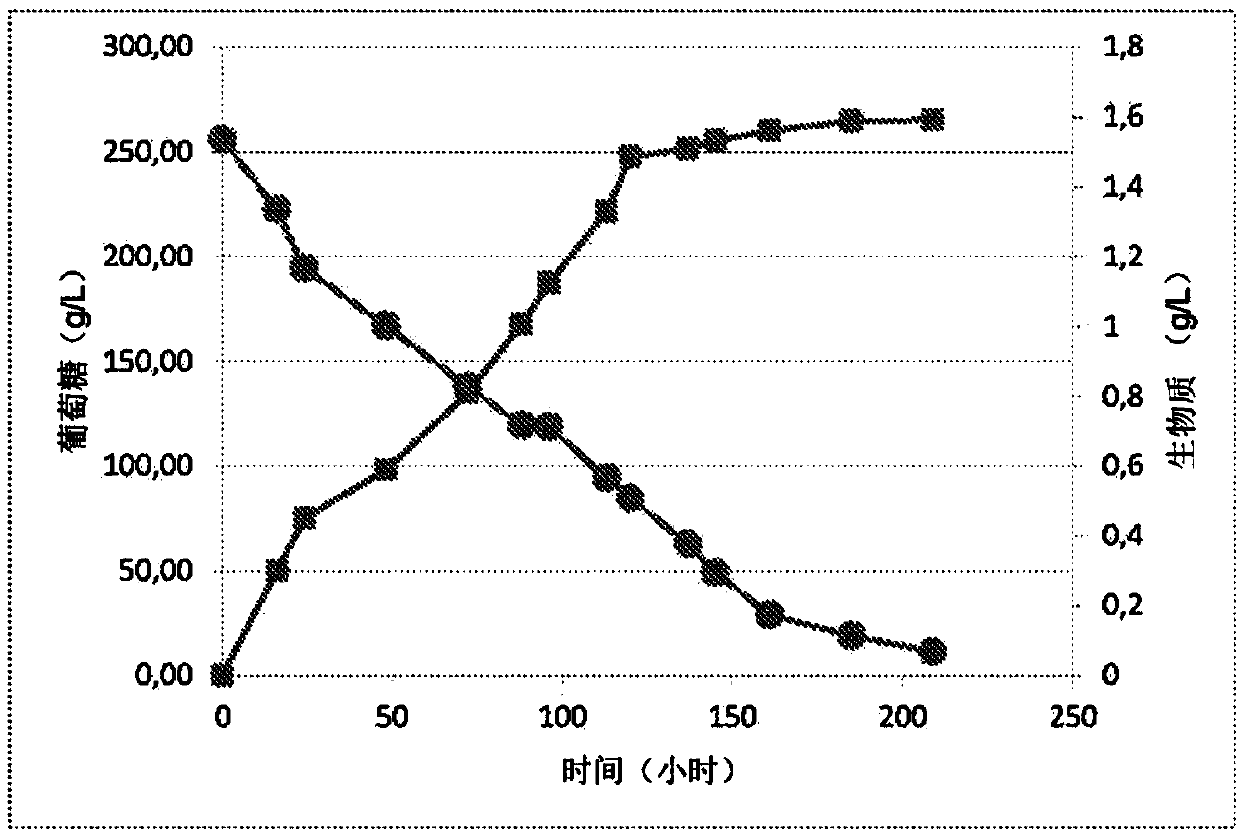 Methodology for preparing ethanol-reduced fermented beverages