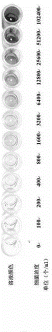 Rapid detecting method of sulphate reducing bacteria and kit thereof