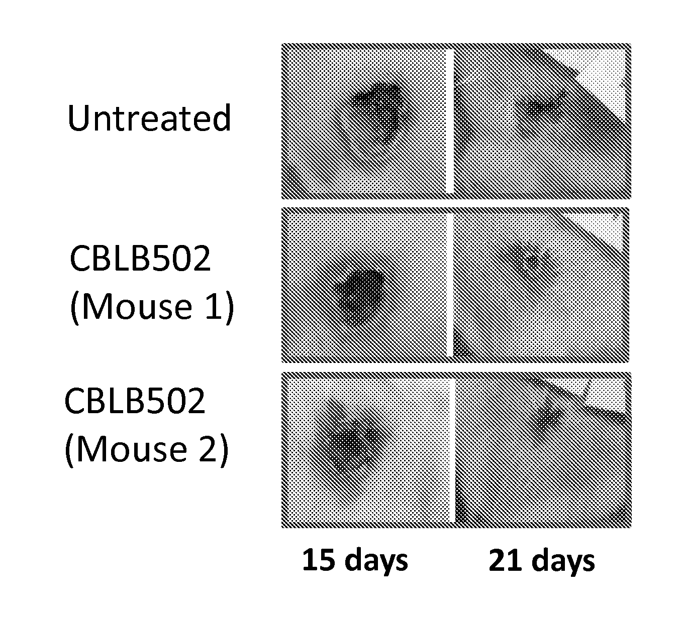 Compositions and methods comprising toll like receptor (TLR) stimulating agents for prophylaxis and therapy for damage to dermal epithelium