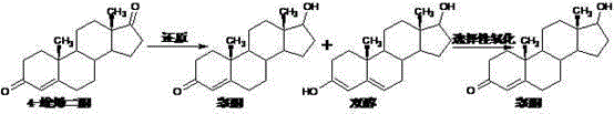 Preparation method of testosterone propionate intermediate 17 beta-hydroxyandrost-4-en-3-one