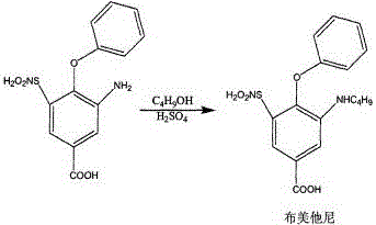 Synthetic method of bumetanide