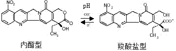 9-nitrocamptothecin-cyclodextrin inclusion compound and preparation method thereof as well as pharmaceutical composition containing cyclodextrin inclusion compound