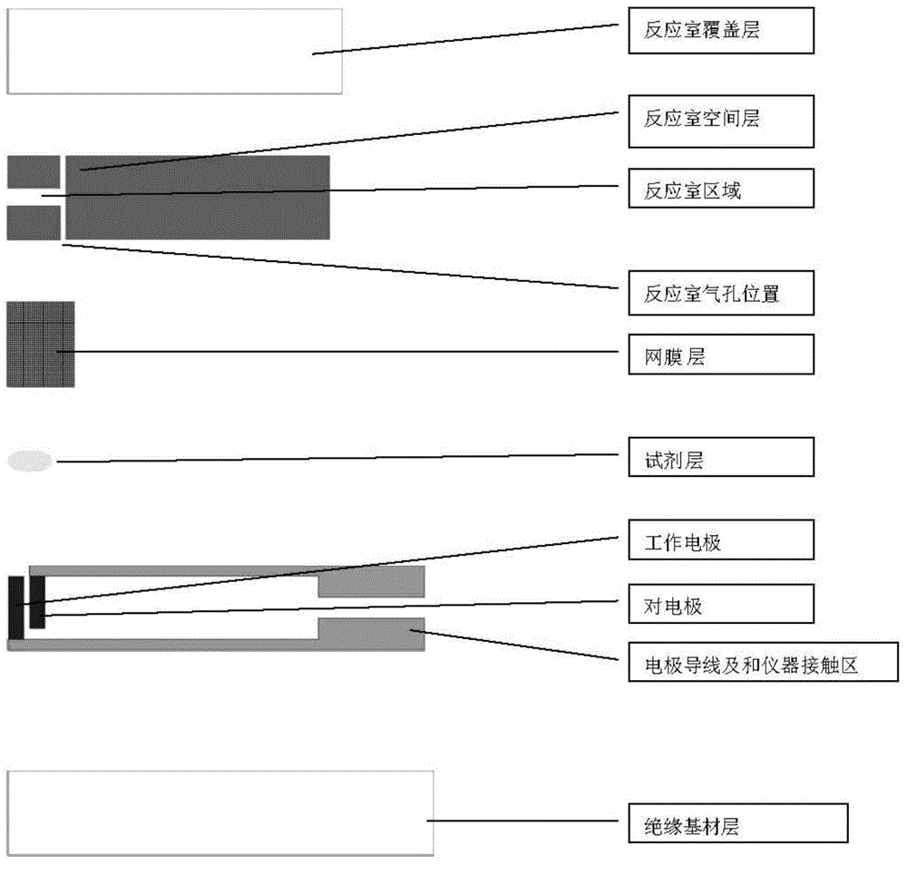 Biosensor and preparation method and application thereof