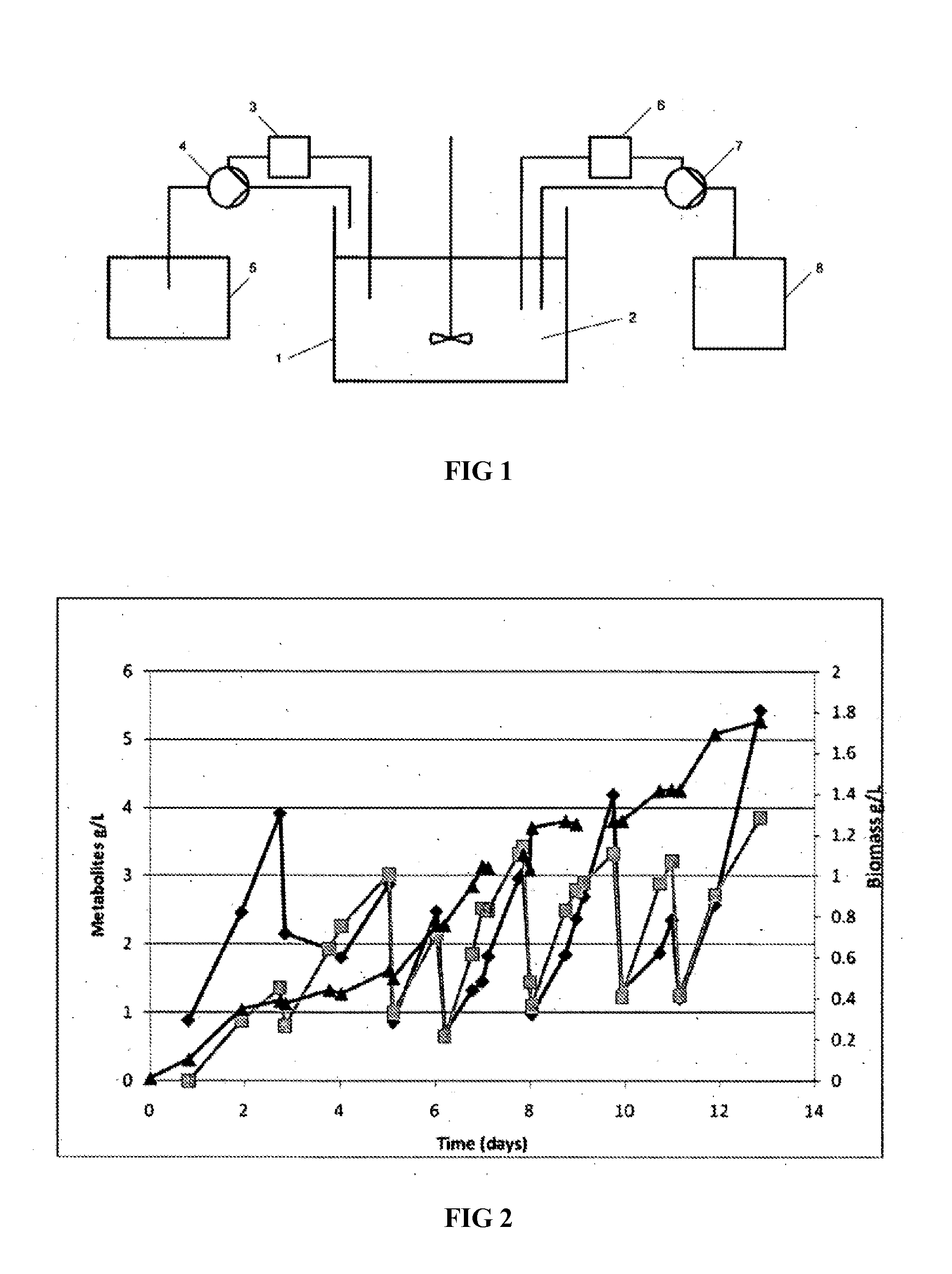 Novel Bacteria and Methods of Use thereof