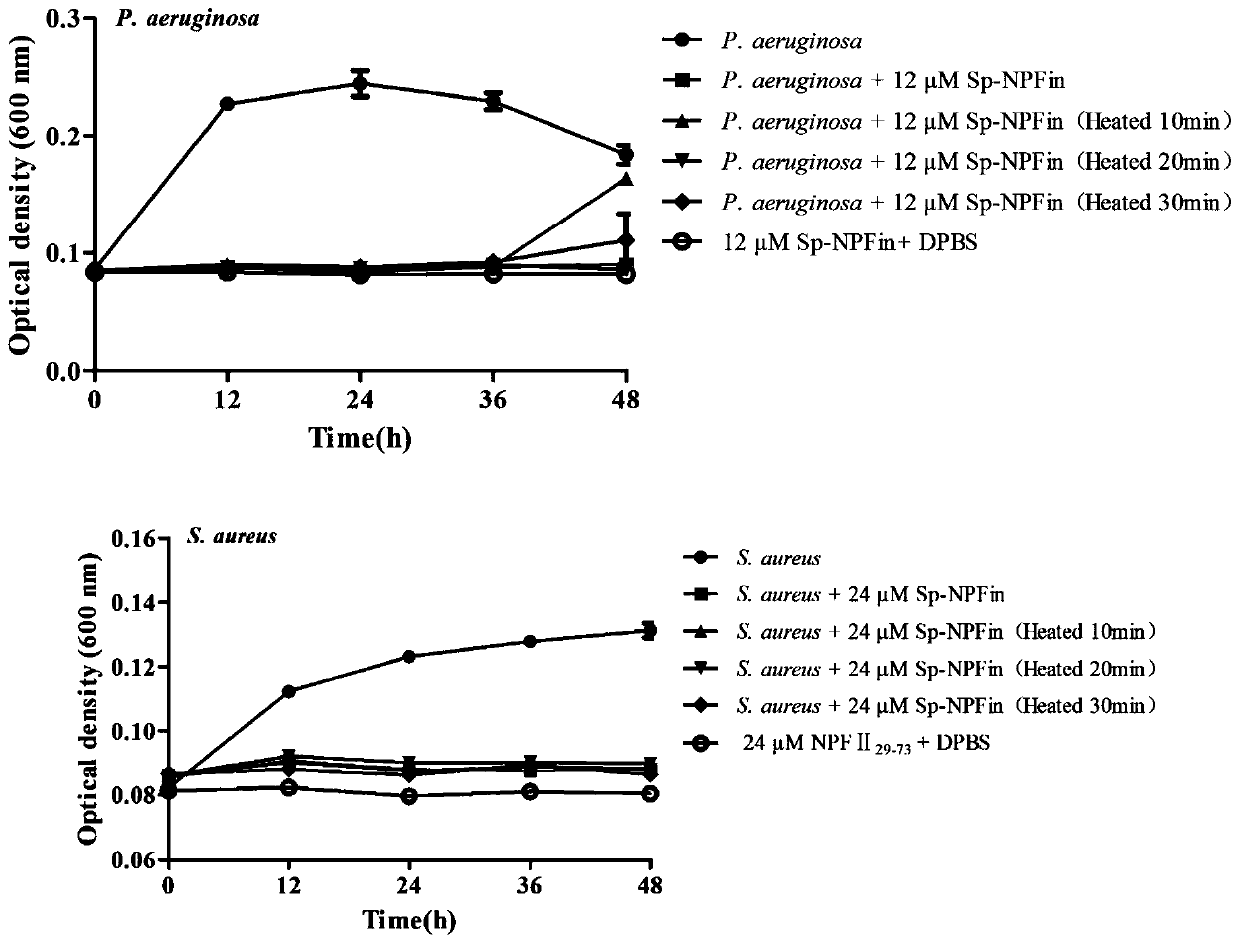 Scylla paramamosain anti-bacterial polypeptide Sp-NPFin and its application