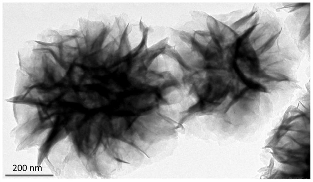 a co  <sub>2</sub> Reductive Bifunctional Photocatalytic Coupled Reaction Method for the Preparation of Renewable Hydrocarbons