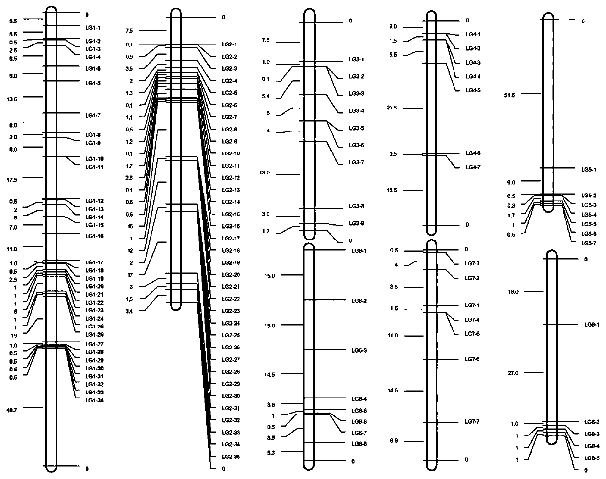 A group of lotus root indel molecular markers, its development method and application