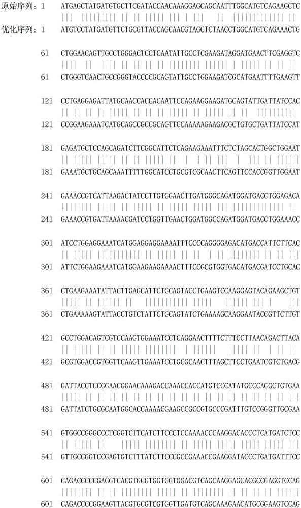 A kind of recombinant porcine interferon beta 1-fc fusion protein and its coding gene and expression method