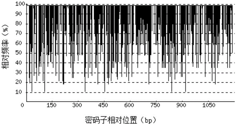 A kind of recombinant porcine interferon beta 1-fc fusion protein and its coding gene and expression method