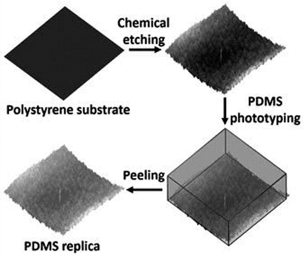Novel method for preparing nano roughened PDMS (Polydimethylsiloxane) substrate