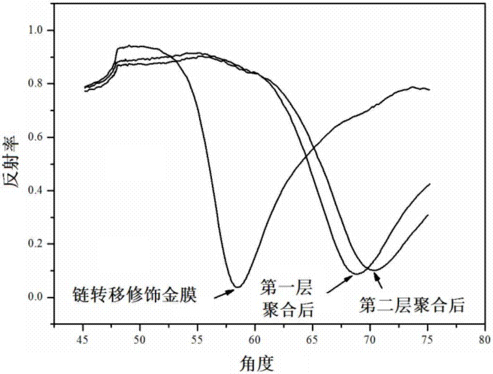 Surface plasmon resonance sensor chip for water phase detection of estrodiol and preparation method of chip