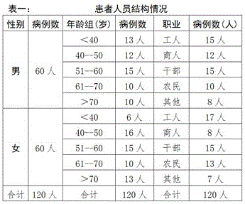 Traditional Chinese medicine composition for treating damp-heat type IgA nephropathy