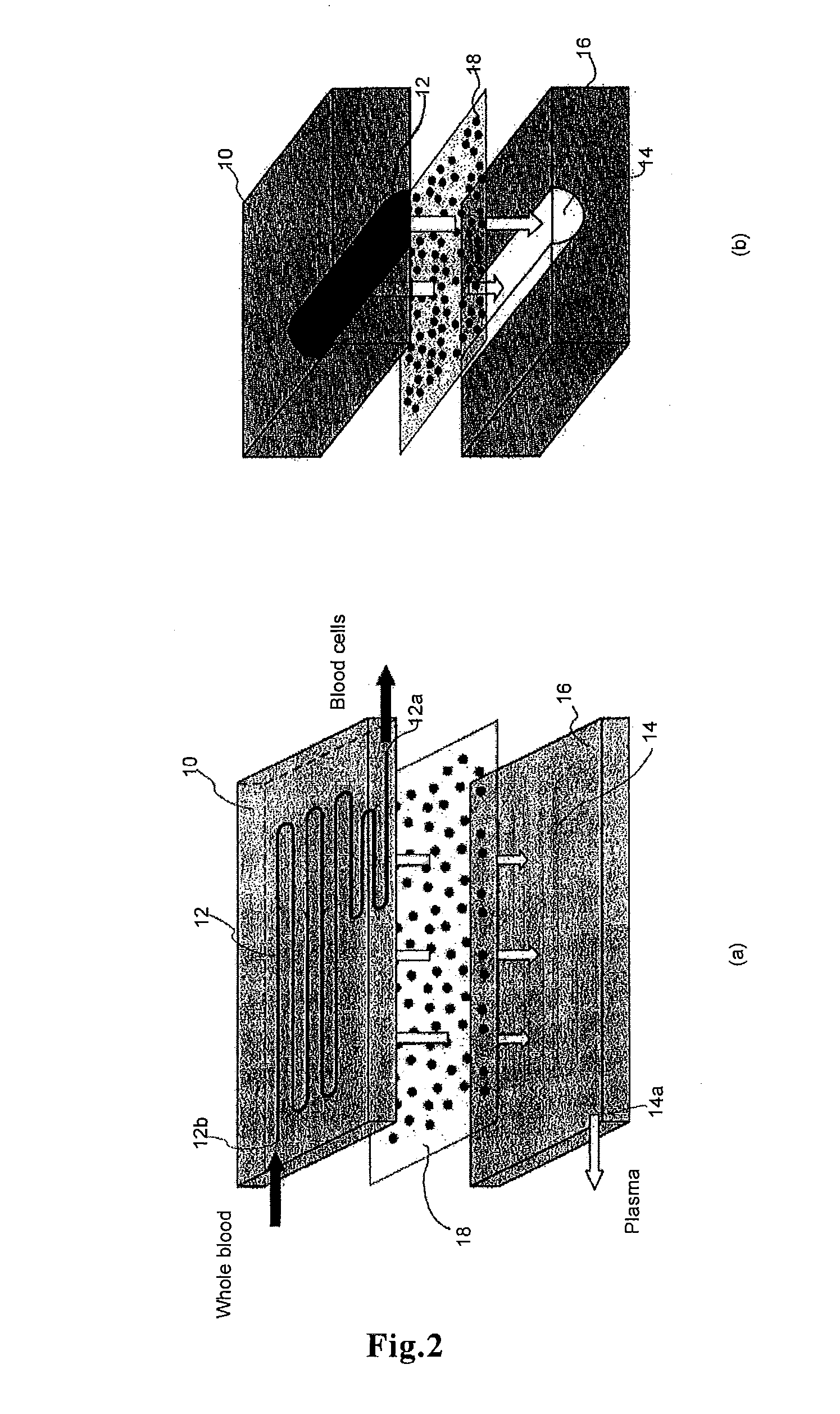 Apparatus and method for separating plasma