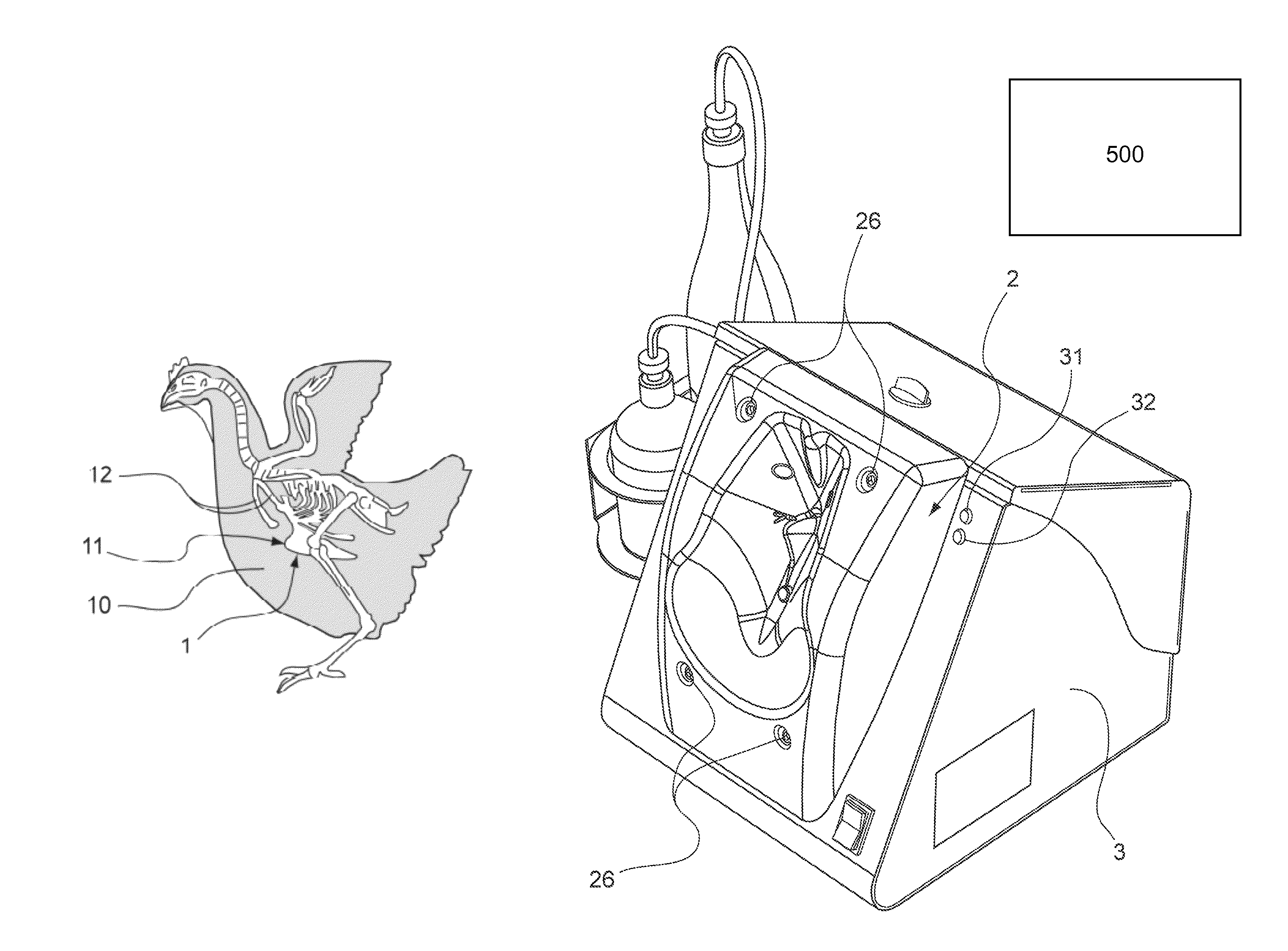 Device for injecting veterinary products to poultry including a retention member having an anatomic form with means for bracing a detectable bone