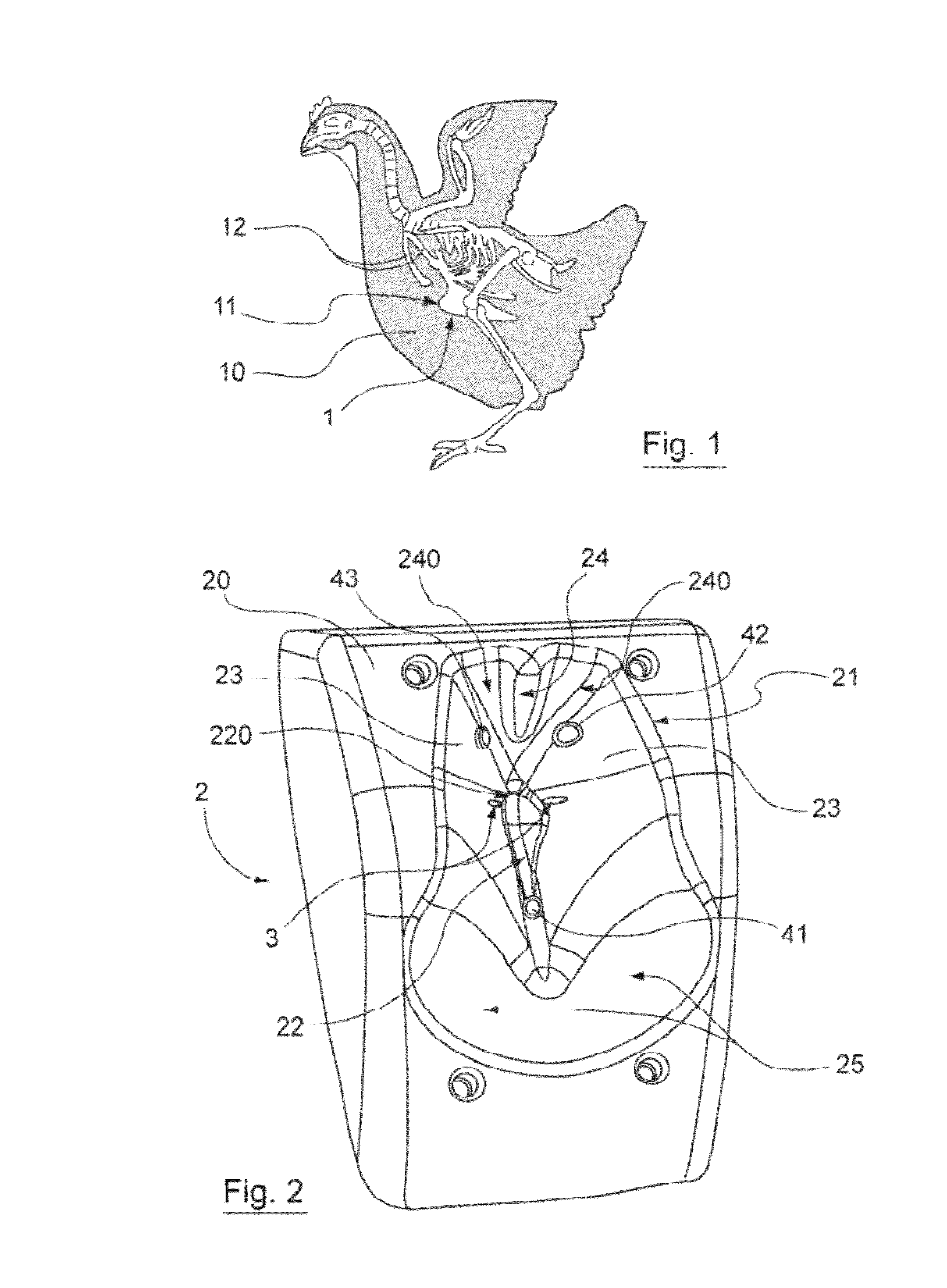 Device for injecting veterinary products to poultry including a retention member having an anatomic form with means for bracing a detectable bone