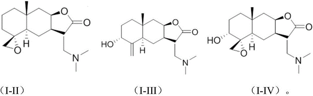 Isoalantolactone derivative and salt thereof