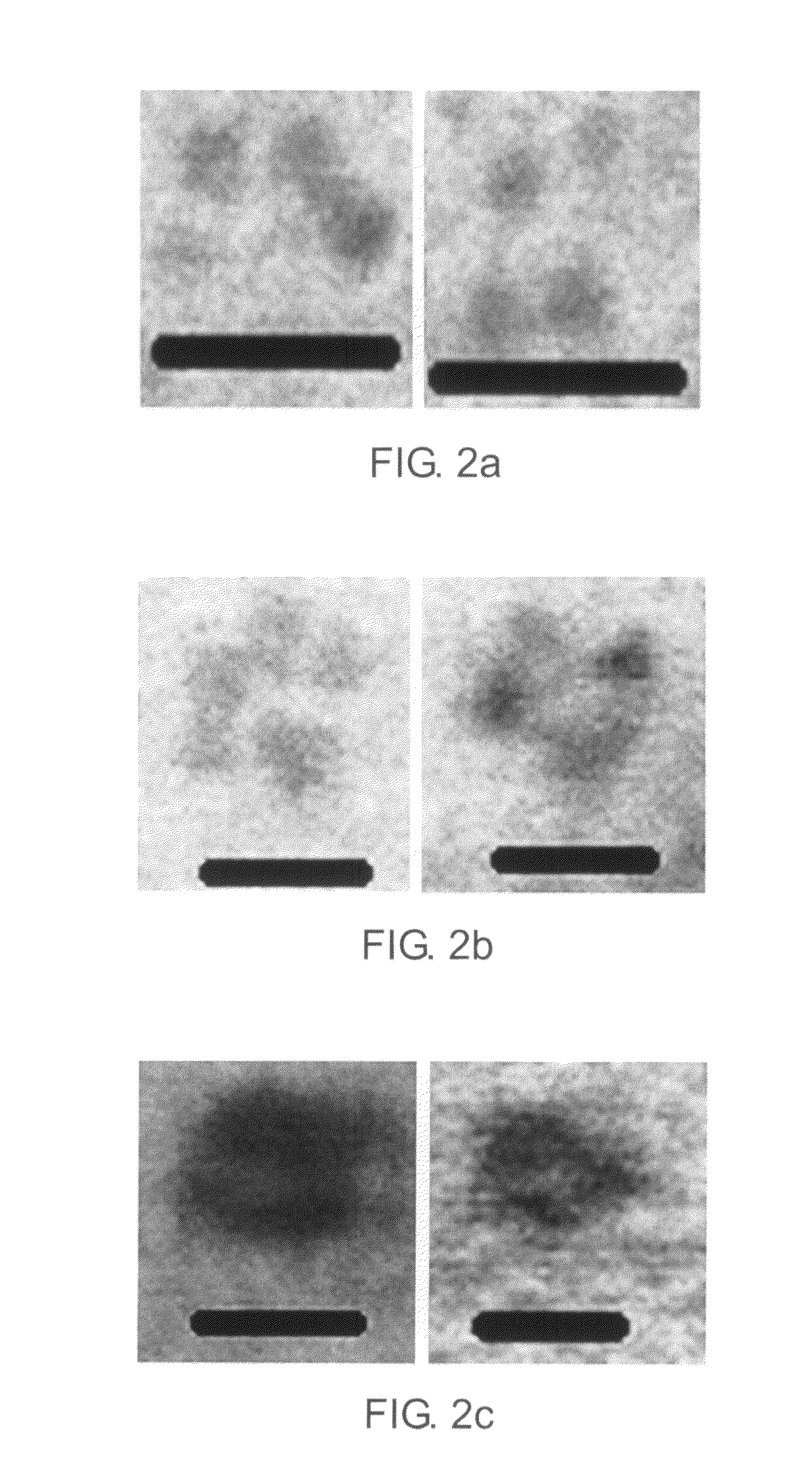 Fabrication of metal nanoshells