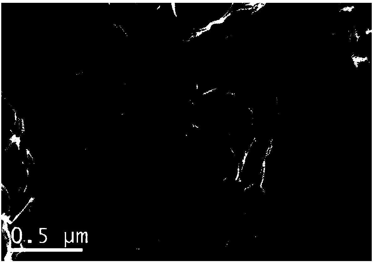 Preparation and application of amorphous TiO2 thin-layer coated three-dimensional carbon network loaded SnO2 nano-particle composite material