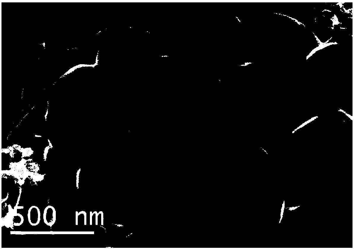 Preparation and application of amorphous TiO2 thin-layer coated three-dimensional carbon network loaded SnO2 nano-particle composite material