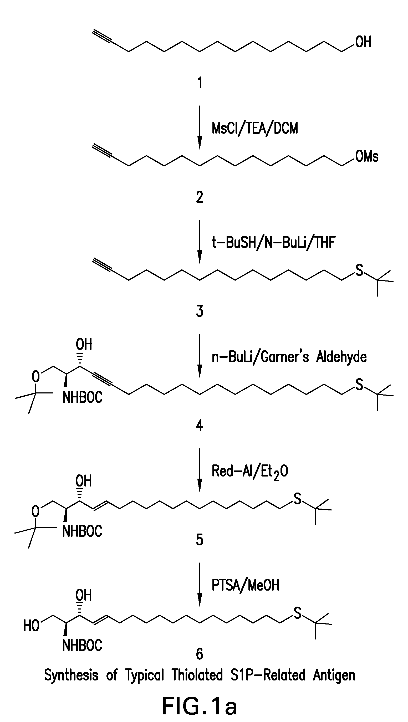 Humanized antibody compositions and methods for binding lysophosphatidic acid