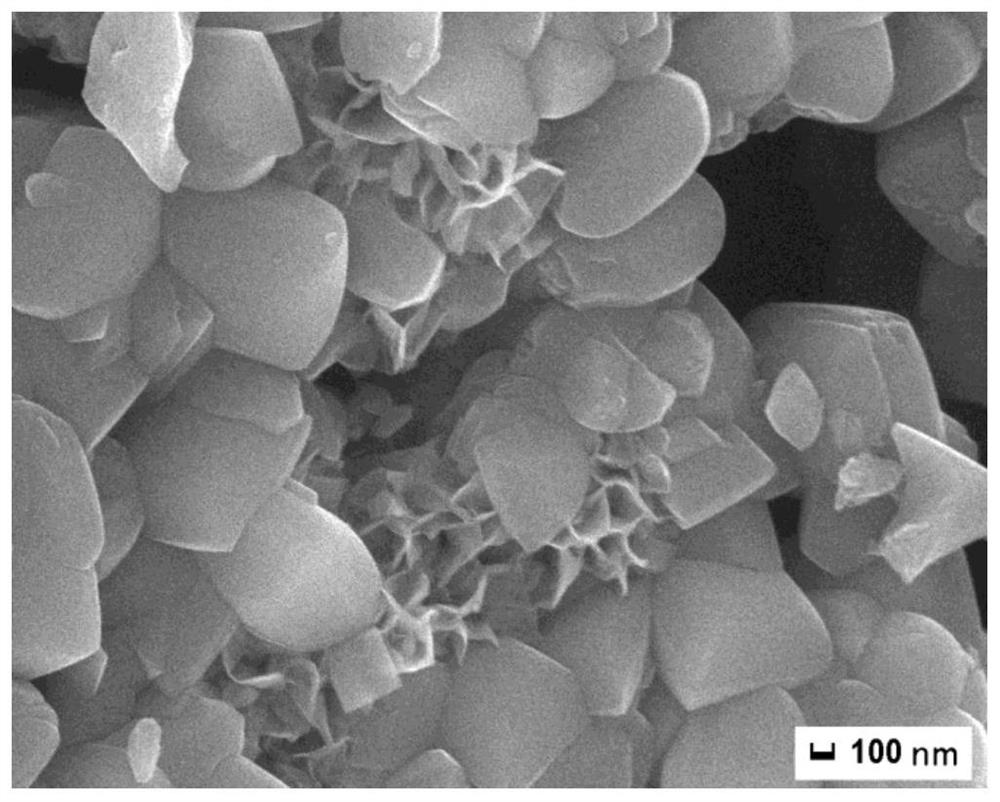 Molybdenum diselenide modified titanium dioxide nano photocatalyst and its preparation method and application