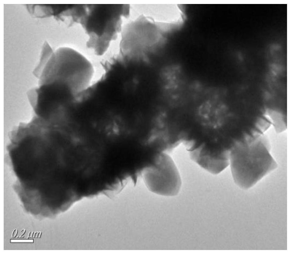 Molybdenum diselenide modified titanium dioxide nano photocatalyst and its preparation method and application