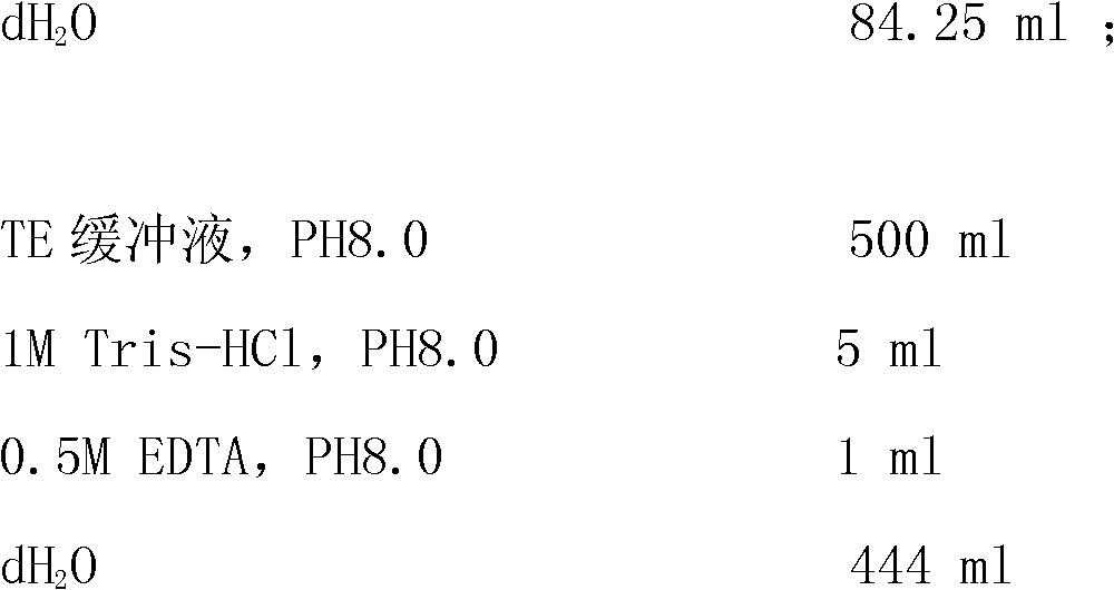 Liquid phase chip method and kit for detecting polymorphism of cytochrome P450 1A2 (CYP1A2) genes