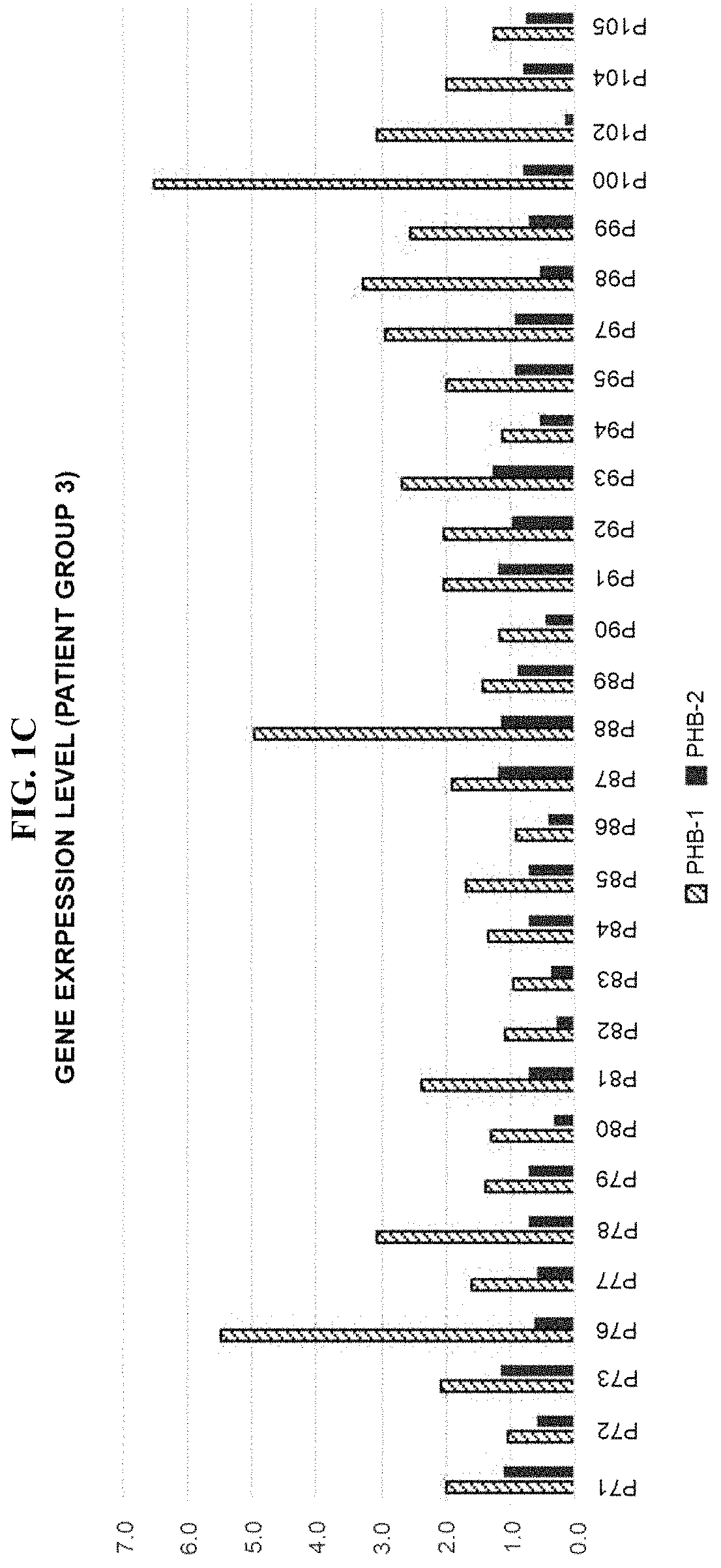 Leukemia diagnostic kit targeting prohibitin gene and diagnostic method using same