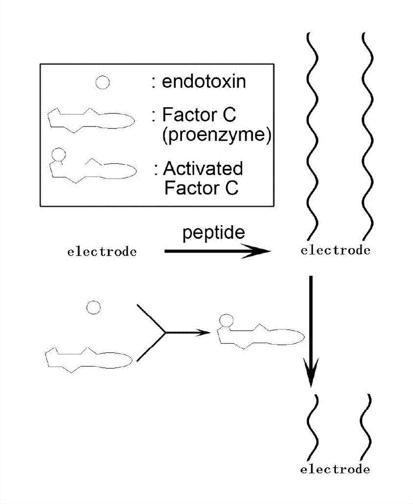 Method for detecting endotoxin content of liquid