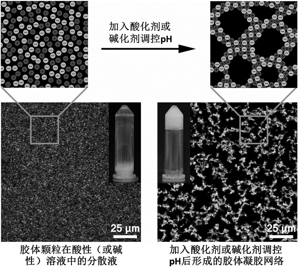 Nanometer colloid particle-assembled high-strength self-repairing injectable composite colloid gel material and preparation method and application thereof