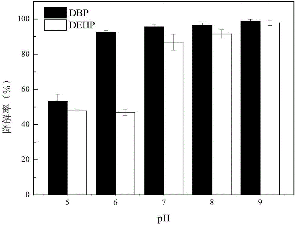 Pseudomonas putida RXX-01 and application of pseudomonas putida in degradation of phthalate of soil