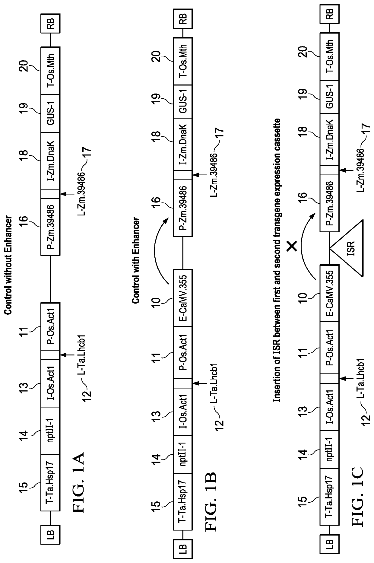 Intergenic sequence regions and uses thereof