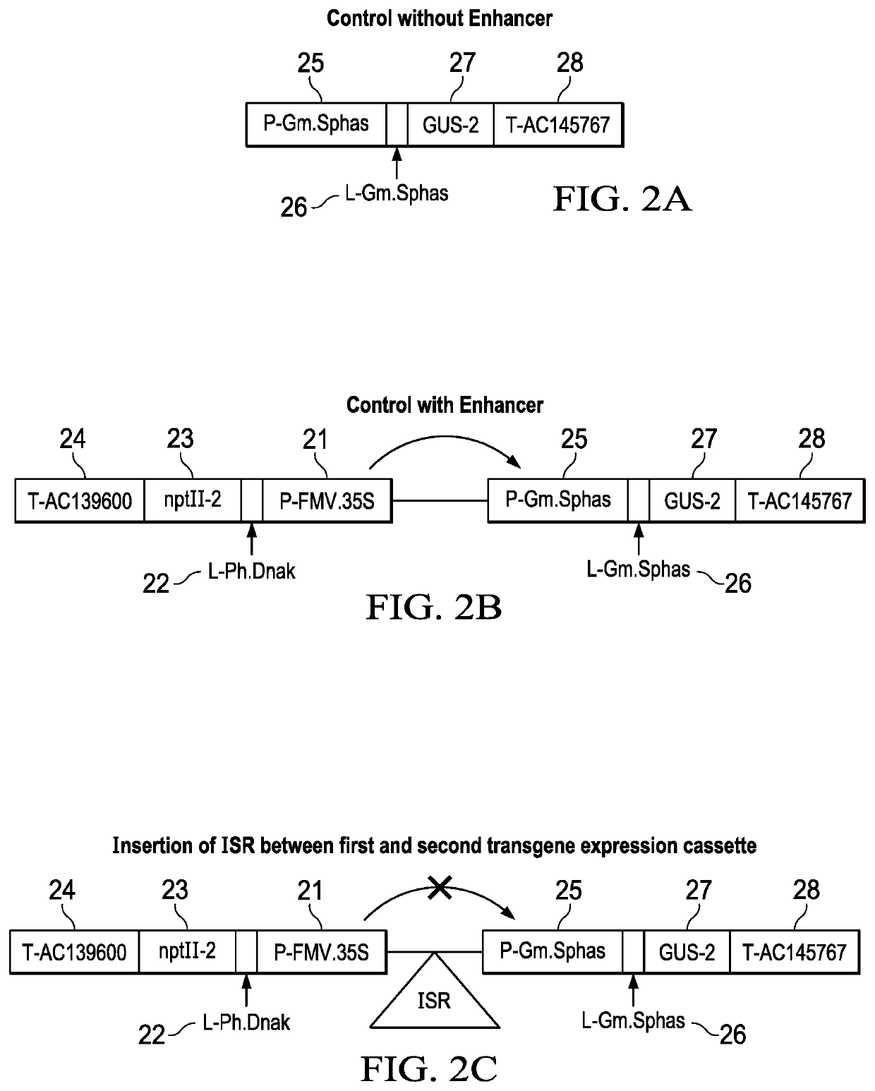 Intergenic sequence regions and uses thereof