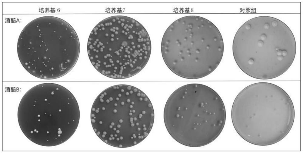 A kind of culture medium for separating yeast from fermented grains and its preparation method