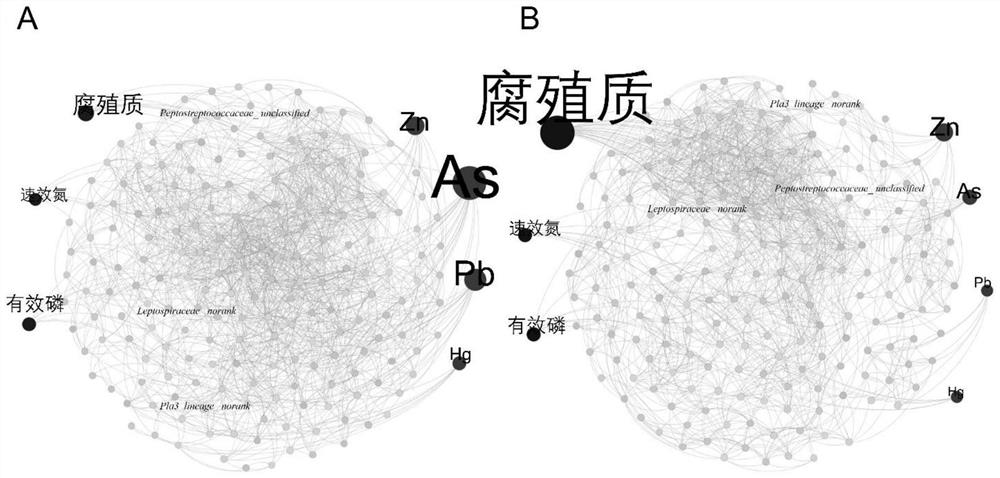 A Method for Assessing Environmental Pollution Risk Based on Microbial Network