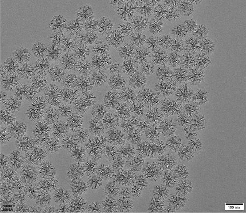 Preparation method and application method of silicon dioxide nano microspheres