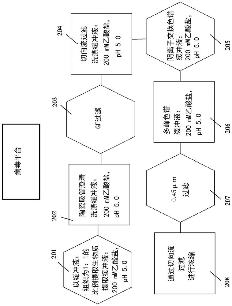 Virus and antigen purification and conjugation