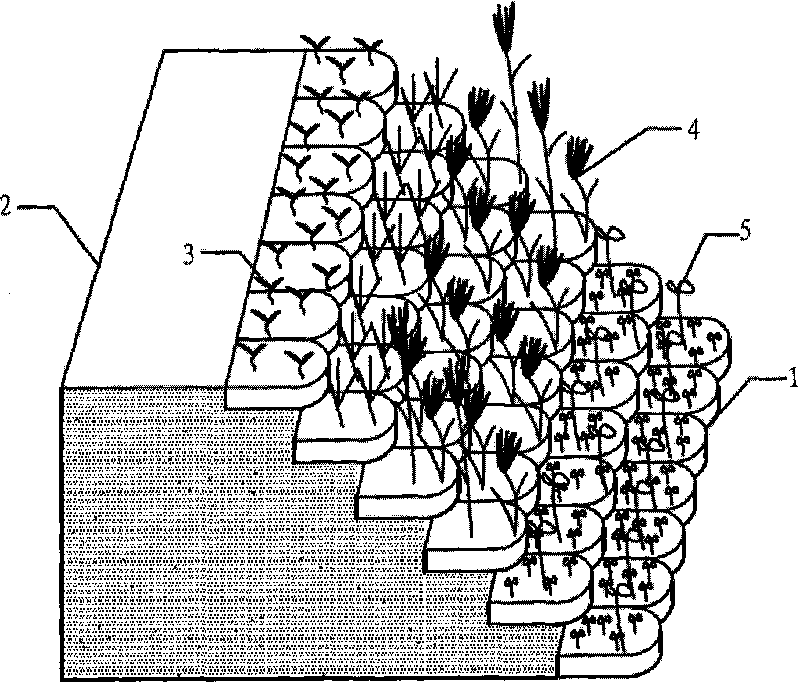 Ecological shore protection method for stepwise shore