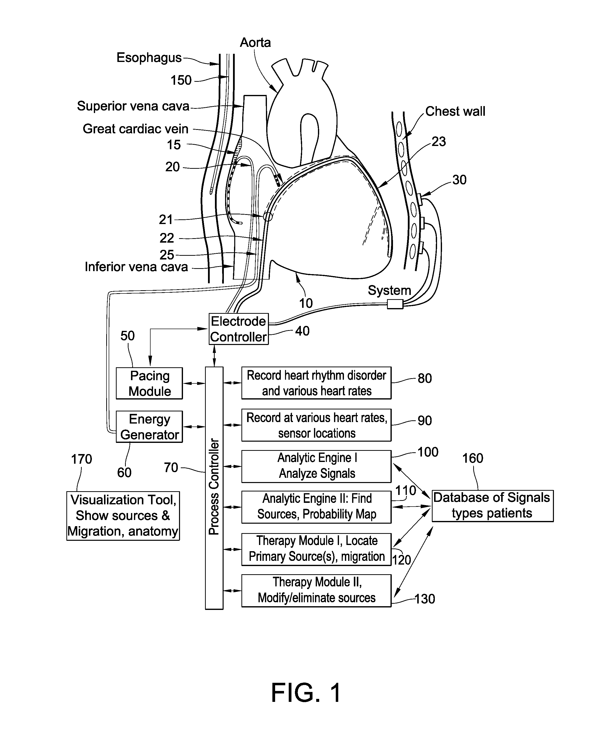 Methods for detecting biological rhythm disorders