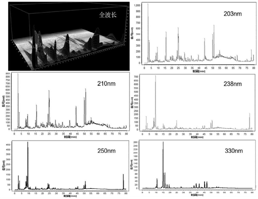 Multi-wavelength fingerprint spectrum-based prismatomeris glabra root quality evaluation method