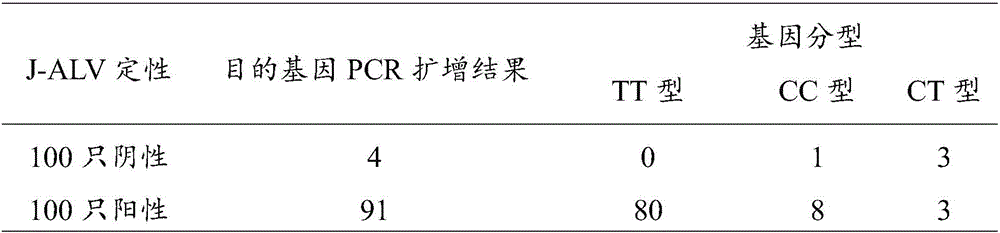 SNP locus of chicken NRAMP1 gene and obtaining method and application thereof