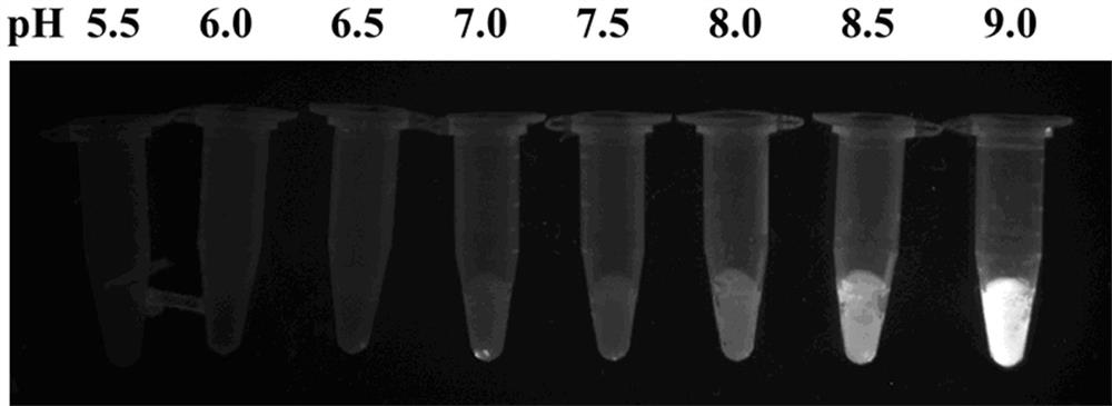 A pH-sensitive fluorescent sensor for high-throughput detection of active microorganisms and its construction method