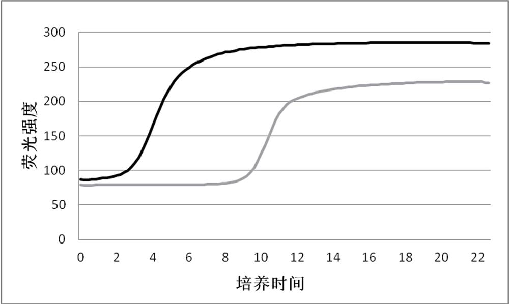 A pH-sensitive fluorescent sensor for high-throughput detection of active microorganisms and its construction method