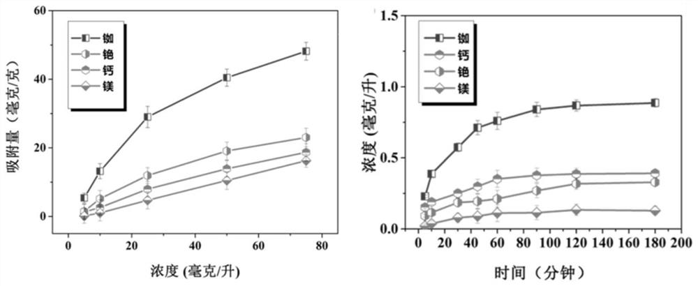 A kind of preparation method and application of ion separation membrane