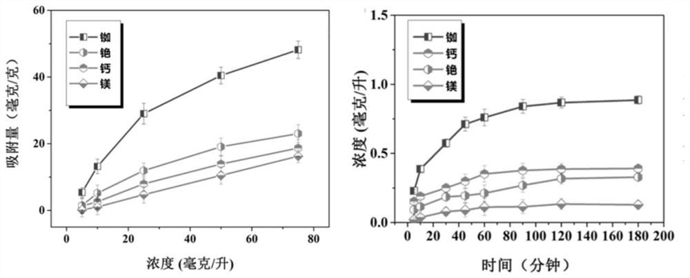 A kind of preparation method and application of ion separation membrane