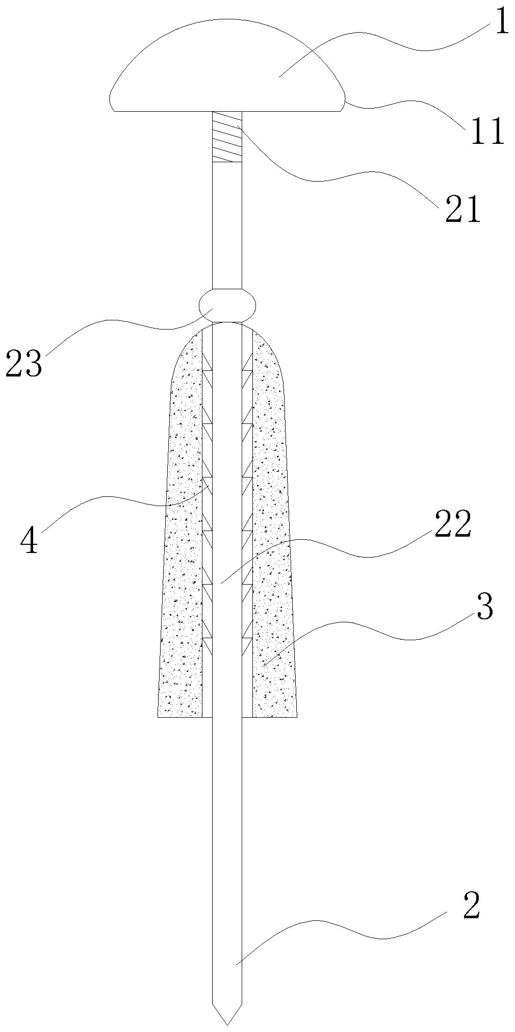 Split type biological suppository for anal fistula treatment