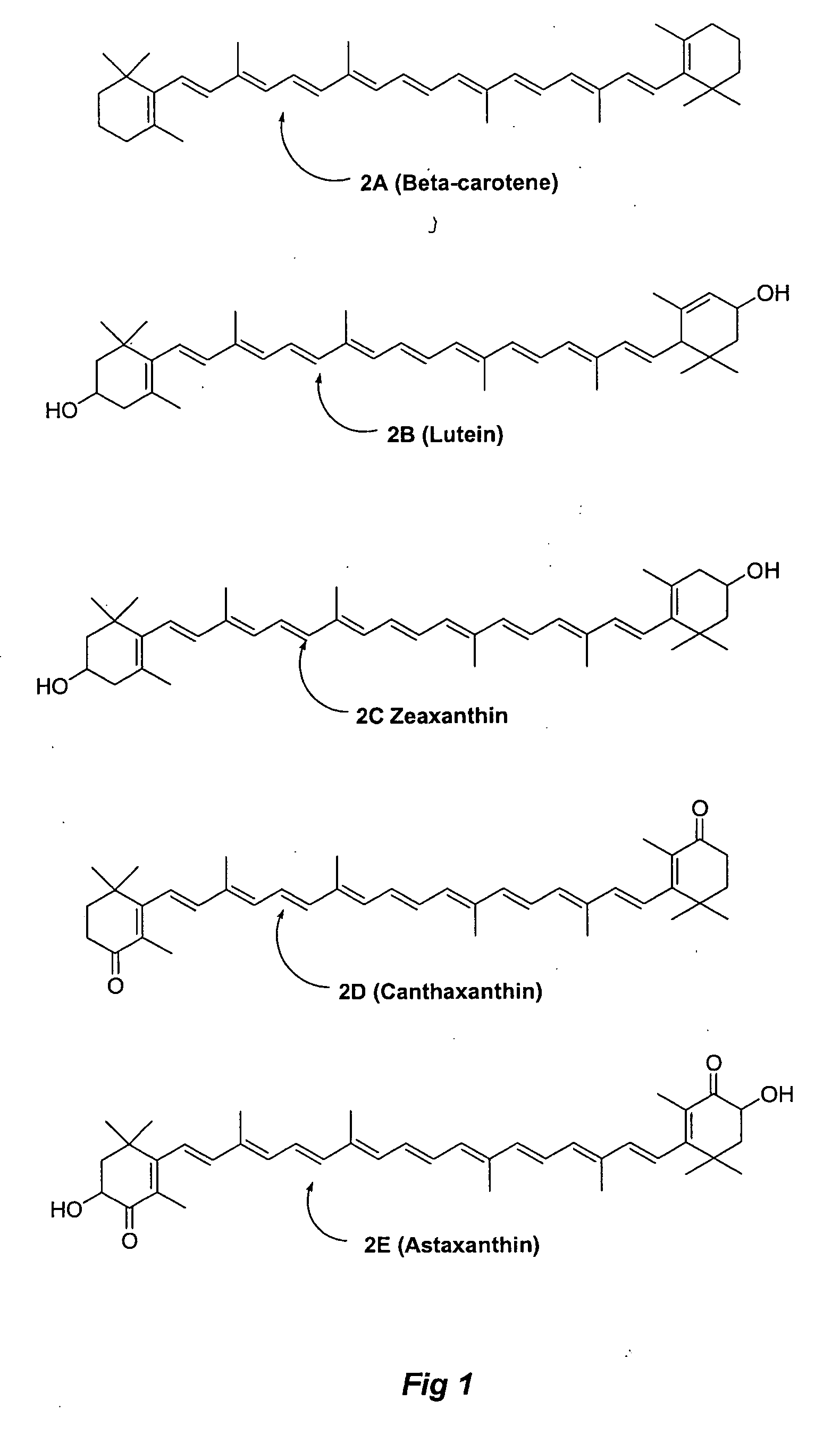 Methods for the synthesis of zeazanthin