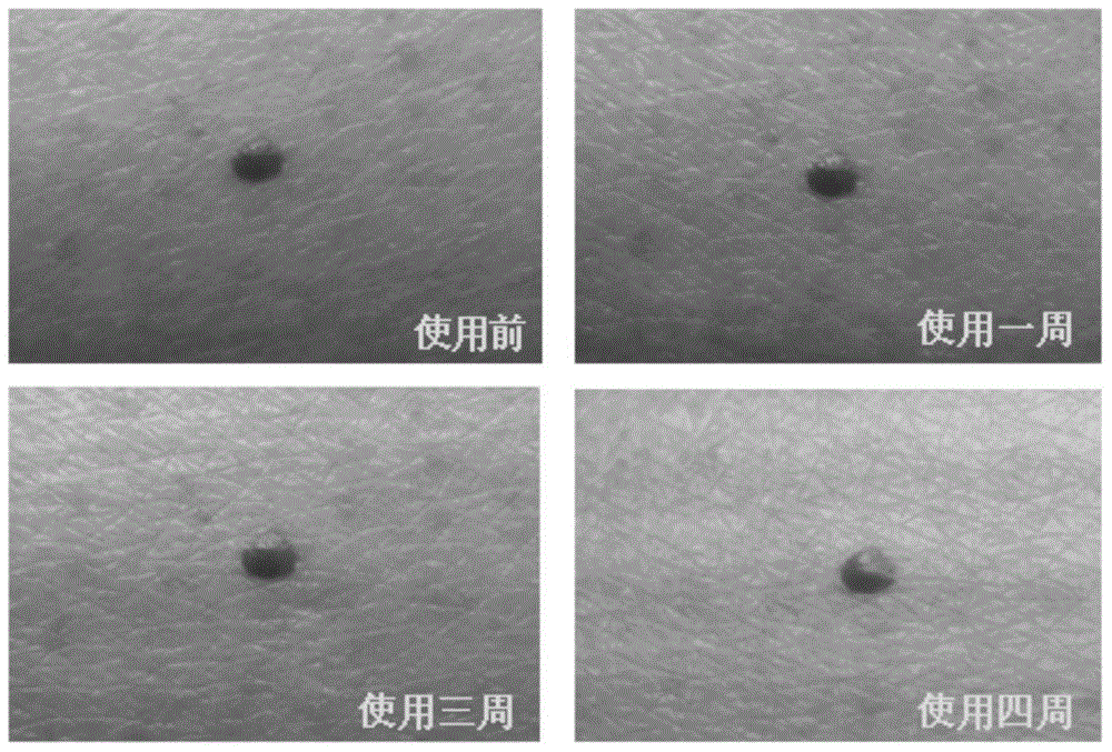 Application of biological membrane obtained by natural source and/or self-assembly technology, and closed structure or cellular compartment with biological membrane property as medicine carriers