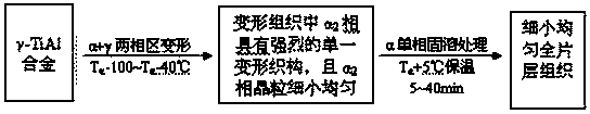 Preparation method for gamma-TiAl alloy small fully-lamellar tissue