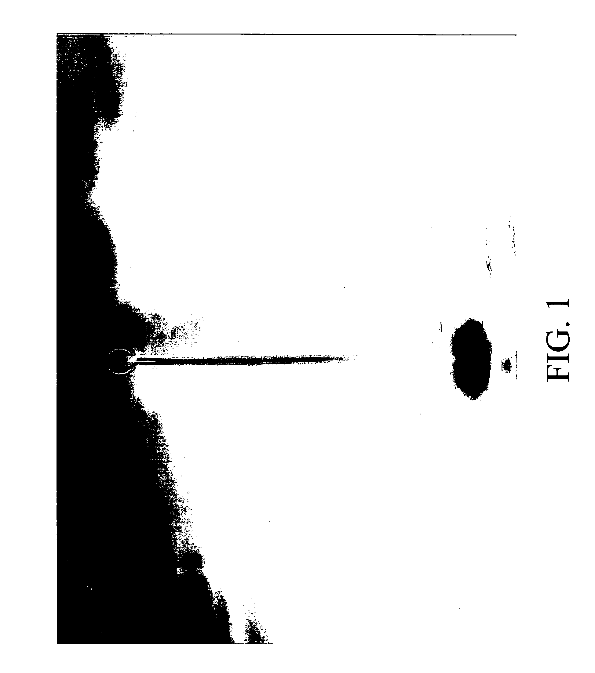 Photocurable pigment type inkjet ink composition